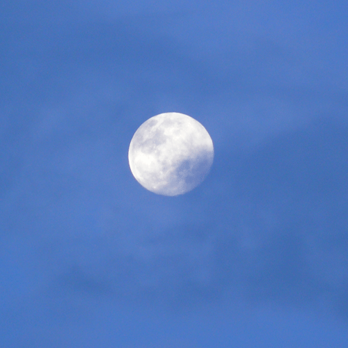blue-moon-22dec07-a.gif