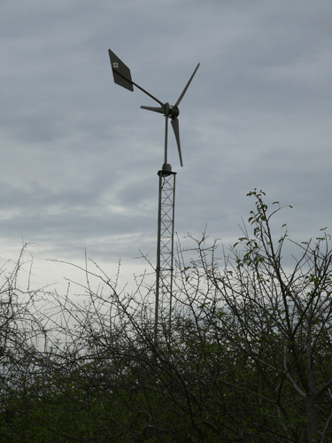 wind-turbine-20jan08.gif