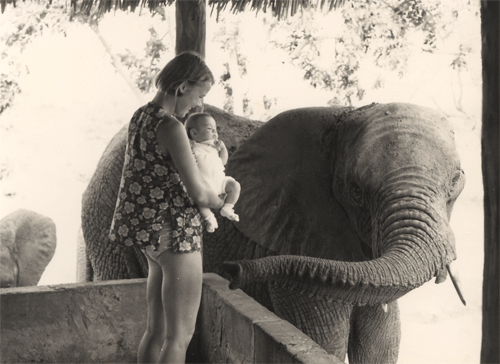with-mum-&-elephants.gif